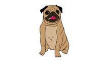 the-pug-dog-pet-animals-animal-827792.svg