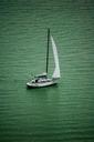 sailing-lake-balaton-sailing-boat-86275.jpg