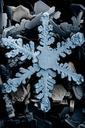 ice-crystal-crystals-snow-ice-67709.jpg