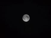 moon-darkness-full-moon-65376.jpg