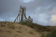 sand-beach-barrier-dune-1179237.jpg