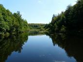 pond-water-forest-trees-vosges-279459.jpg