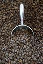 bean-coffee-bean-coffee-1696065.jpg