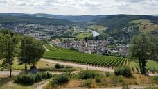 germany-vineyards-summer-vacation-879918.jpg