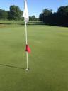 golf-green-golfing-play-course-642579.jpg