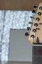 guitar-neck-vulture-strings-frets-1595236.jpg