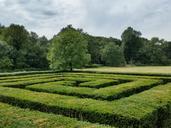 maze-intricacy-green-labyrinth-919271.jpg