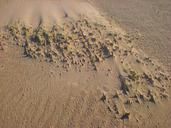 sand-dune-beach-sand-beach-wind-651416.jpg