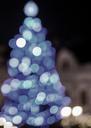 bokeh-christmas-decoration-314817.jpg