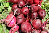 beets-farmers-market-healthy-red-1368370.jpg