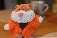 hamster-orange-wave-teddy-bear-570669.jpg