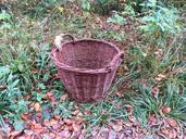 basket-pasture-brown-woven-1022156.jpg