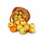 apples-basket-isolated-background-219986.jpg