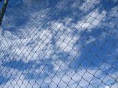 fence-wire-mesh-fence-garden-fence-237474.jpg