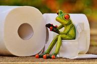 frog-toilet-loo-session-funny-1037248.jpg