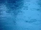 droplets-rain-landscapes-nature-386936.jpg