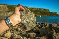 fossil-england-coast-ocean-1000575.jpg