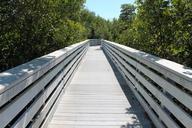 boardwalk-deck-perspective-wood-642539.jpg