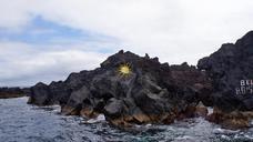 cookies-third-azores-cliffs-mar-1000262.jpg