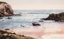 [Postcard]._Ocean_Beach,_Dunedin,_a_summer_seascape_/_[photographer]_Guy._[ca_1910]..jpg