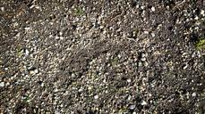 pebble-underground-ground-1219966.jpg