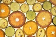 Citrus slices (1).jpg