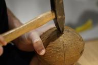 coconut-open-coconut-open-hammer-696537.jpg