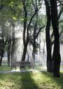 park-bench-tree-sunrise-sunlight-1474797.jpg