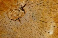 wood-grain-wood-texture-1496934.jpg