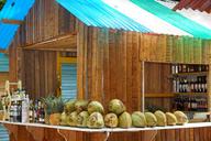 coconut-bar-caribbean-exotic-1128217.jpg