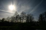 air-sun-clouds-nature-tree-732258.jpg