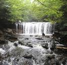 Waterfalls-in-Ricketts-Glen-State-Park.jpg