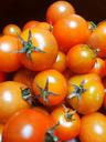 organic-tomato-tomatoes-red-1709069.jpg