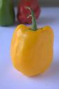 pepper-yellow-capsicum-bell-pepper-390425.jpg