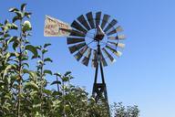 windmill-farm-rural-outside-347521.jpg