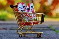 shopping-cart-shopping-purchasing-1080841.jpg