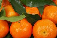 citrus-clementine-food-fresh-fruit-15779.jpg