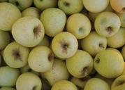 apples-green-food-fruit-982808.jpg