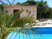 pool-finca-mallorca-palm-164794.jpg