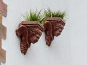 flowerpot-planters-hauswand-plant-357853.jpg