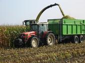 corn-corn-harvest-tractors-field-16768.jpg