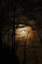 full-moon-dark-spooky-sky-clouds-1372783.jpg