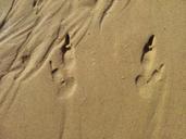 footprints-sand-tracks-footprint-432647.jpg