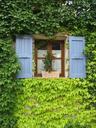 vines-shutters-provence-france-1041578.jpg