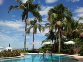 pool-holidays-palm-trees-beach-646570.jpg