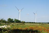 wind-turbines-farmland-364996.jpg