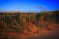 the-sand-dunes-dune-862258.jpg