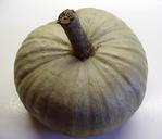 pumpkin-autumn-produce-604044.jpg