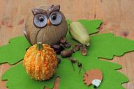 thanksgiving-table-decorations-1709880.jpg