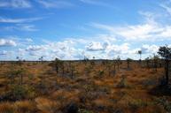 sweden-nature-landscape-loneliness-680097.jpg